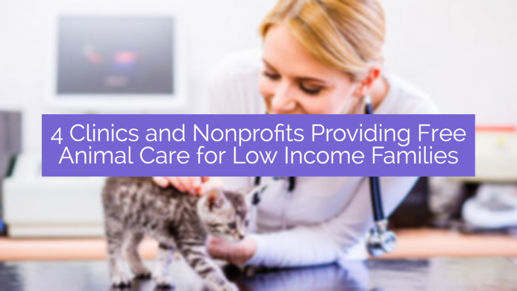 4 Clinics and Nonprofits Providing Free Animal Care for Low Families Veterinary Vets