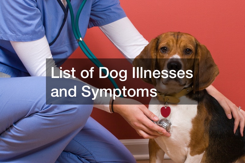 List of Dog Illnesses and Symptoms Veterinary Vets